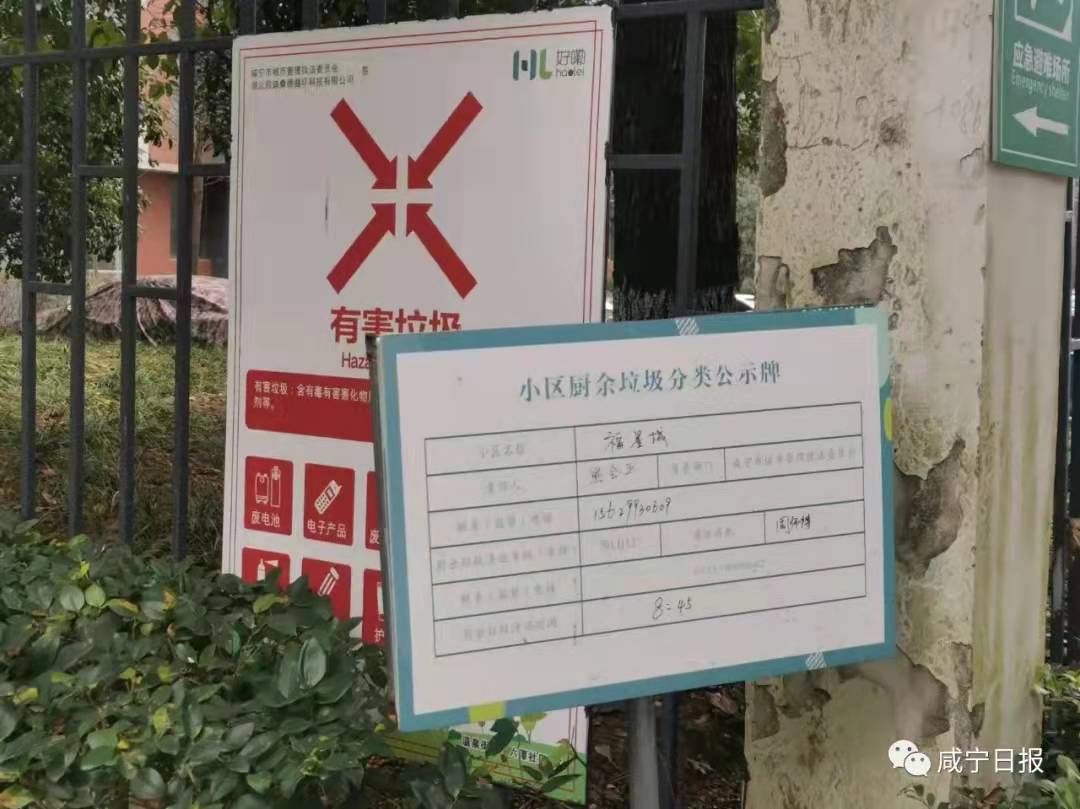 5.jpg 5.jpg